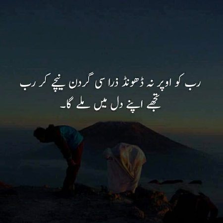 Life Advice image