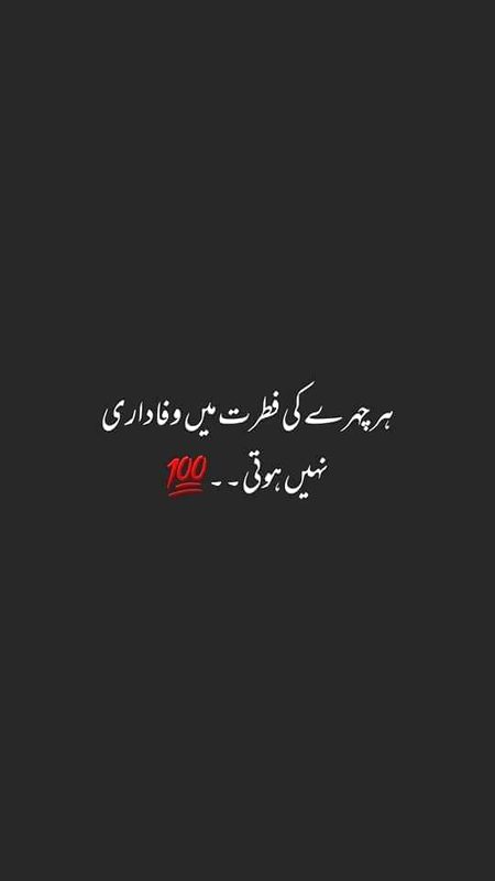 No caption