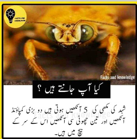 Interesting Posts image