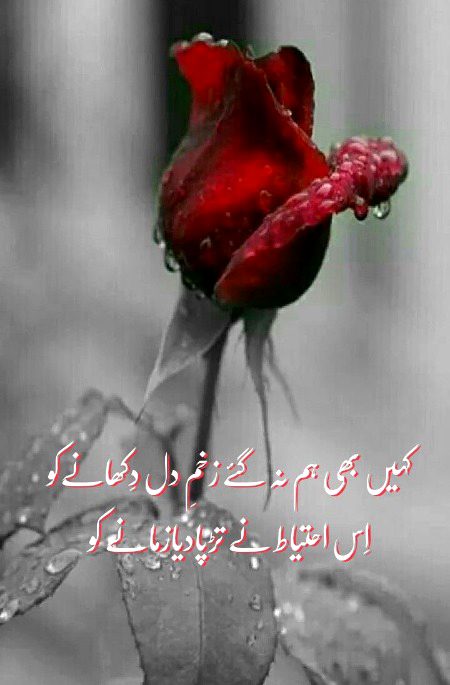 🌹 merijan-16 🌹