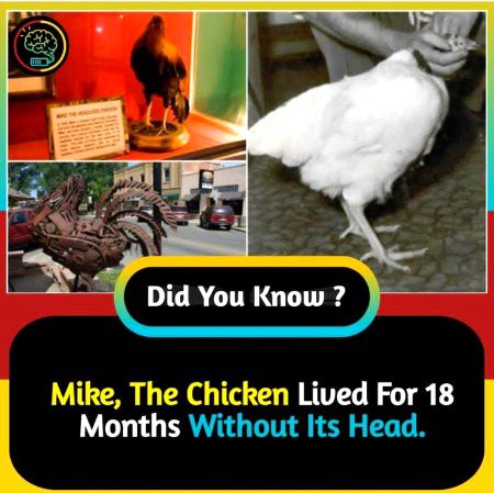 Interesting Posts image