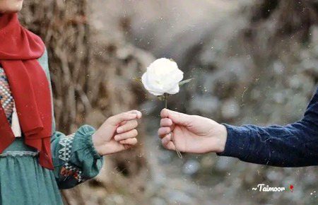 زندگی میں ہر جگہ پھول بکھیرتے جاؤ ایک جگہ اپنے لئے باغ لگا ہوا پاؤ گے۔ ۔ 🥀
~