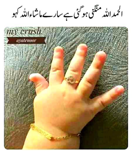 Memes & Satire image