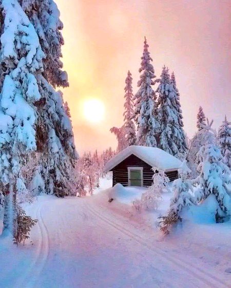 Beautiful Nature image