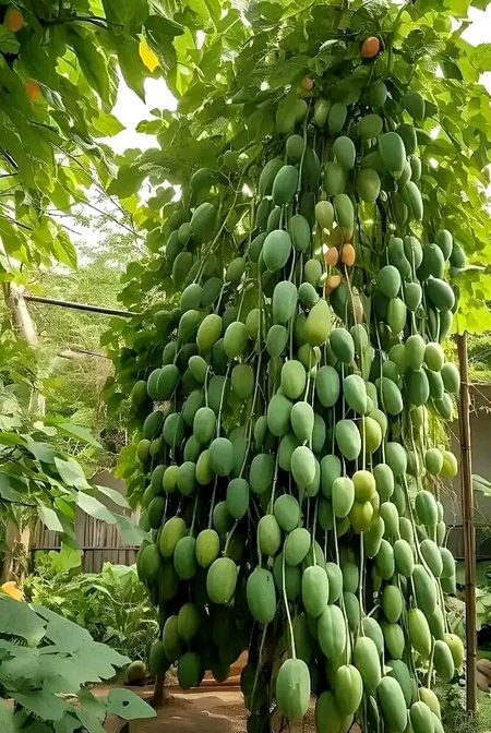 Beautiful Nature image