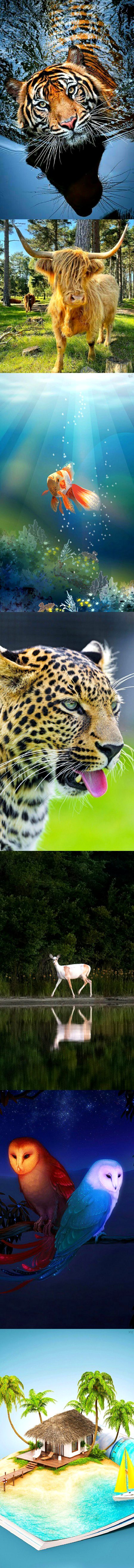 Beautiful Nature image