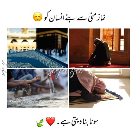 Bwshaq❤💯❤💯