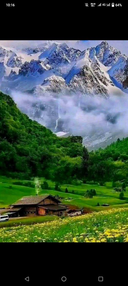 Beautiful Nature image