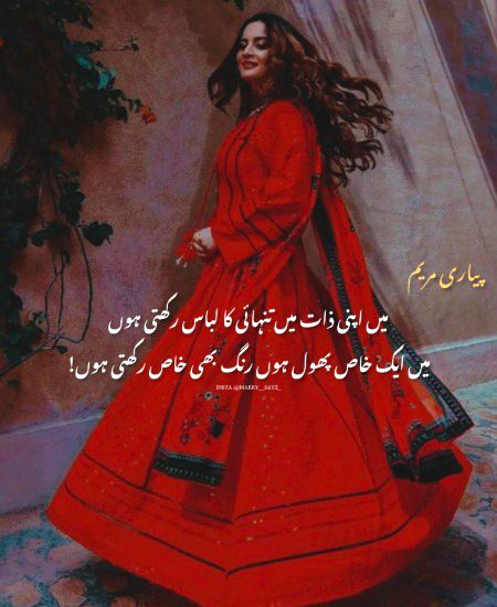 Attitude Quotes image