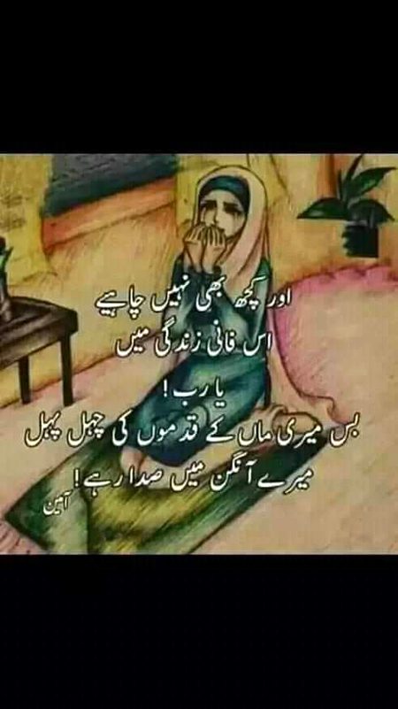 .q3  
🌷🌷🌻
🌺How🌷🌼 r 🌻🌺u🌷🌼 all🌹🏵🌷..
🌺🌻 ALLAH pak sub ki mayain sahe salamat rakhain 🌹 🌺🌻🌷ameen🏵🌷🌼