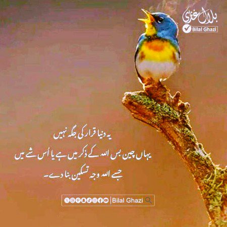 Islamic Quotes image