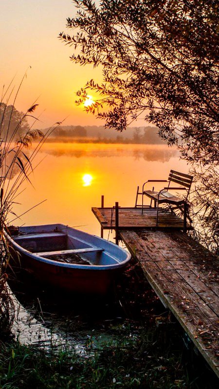 Beautiful Nature image