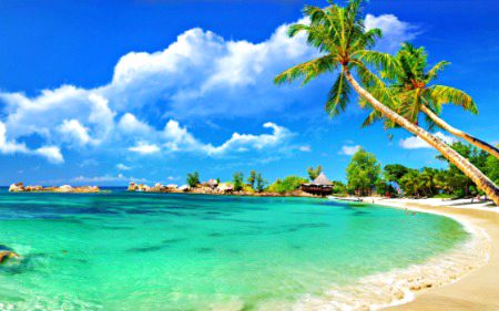 Beautiful Nature image