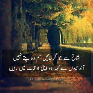 Attitude Poetry image