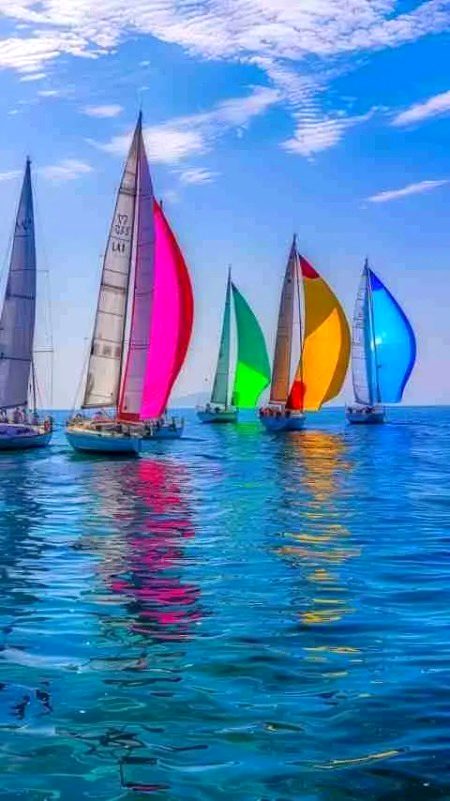 Beautiful Yatchs