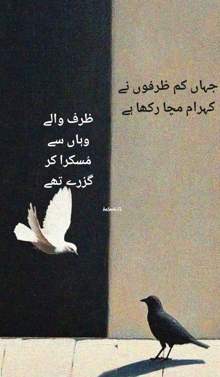 Km Zarf. . Ahsan Framoosh 
Be Zameer