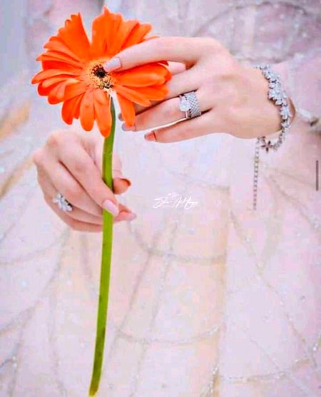Beautiful Nature image