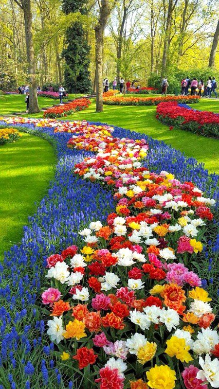 Beautiful Nature image