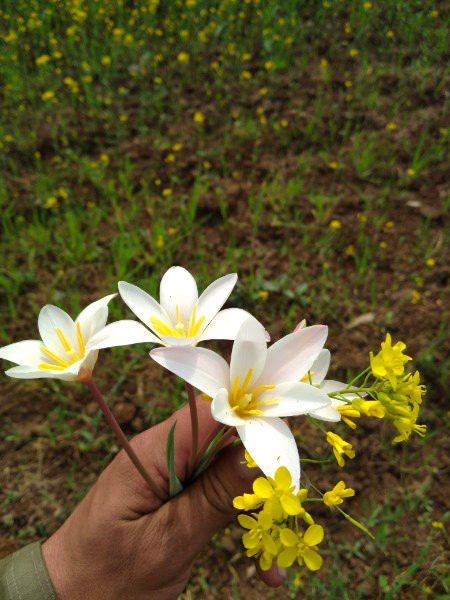 4 my frndzzzz🙃💋💋
 ZaRRaaR💔🥀