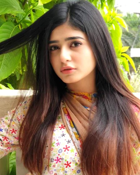 Pakistani Celebs image