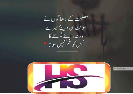 حد تو یہ ہے کہ موت بھی تکتی ہے دور سے
اس کو بھی انتظار ہے میری خودکشی کا