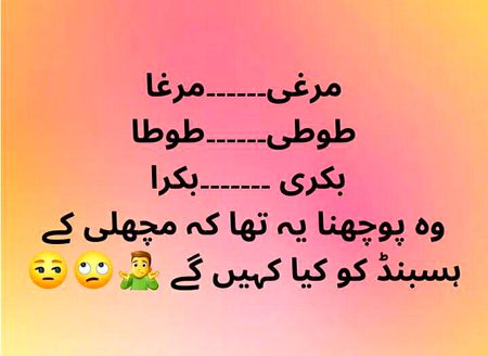 Bato sab 🐬🐬🐟🐋