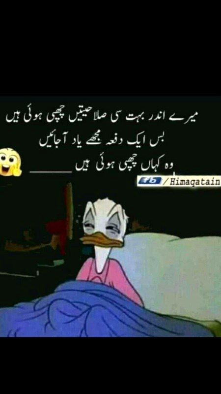 Memes & Satire image