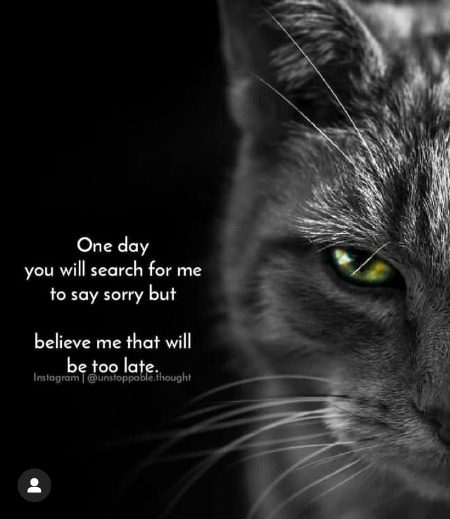 Attitude Quotes image