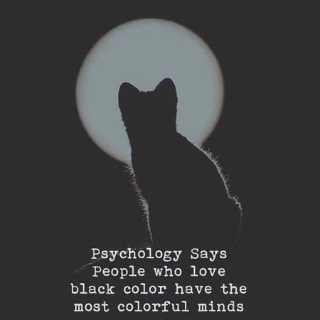 Interesting Posts image
