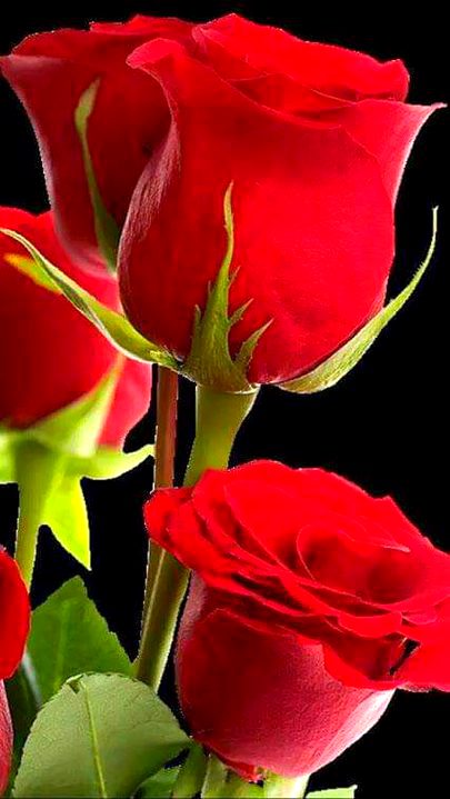 Beautiful Nature image
