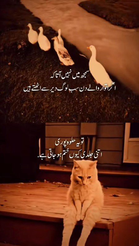 Jokes image