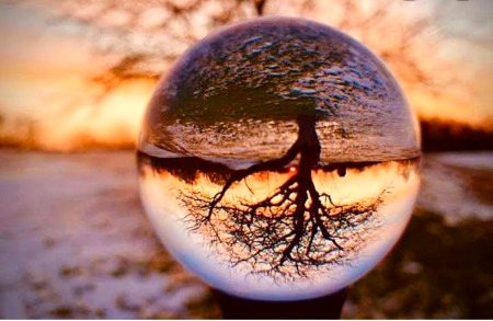 Nature beauty