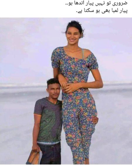 Memes & Satire image