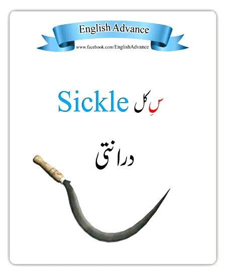 Tips for Students image