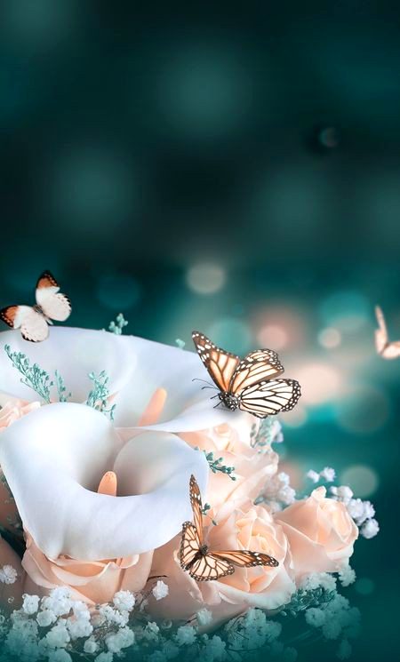Beautiful Nature image