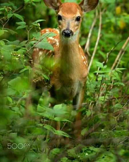 Beautiful Nature image