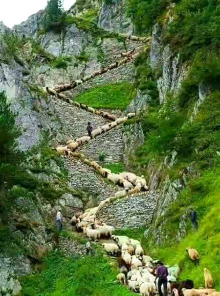 Beautiful Nature image
