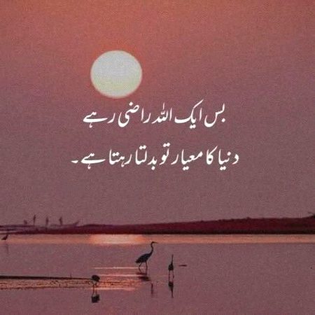 Life Advice image
