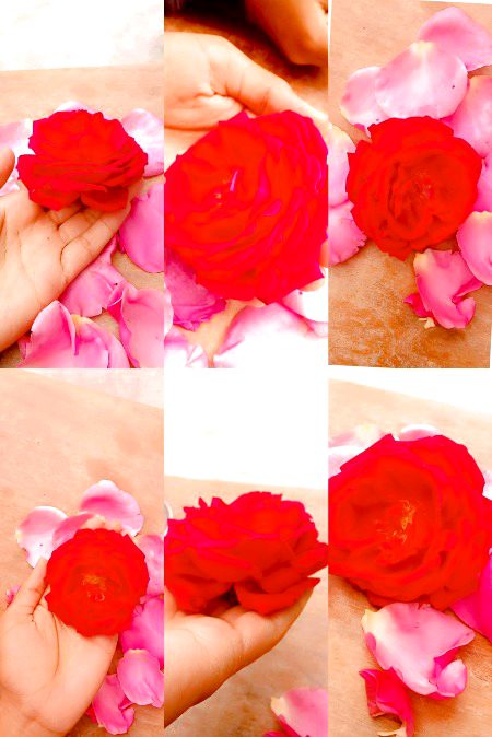 Beautiful Nature image