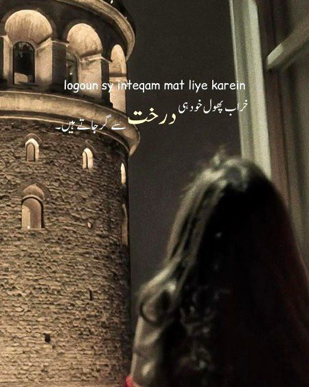 Motivational Quotes image