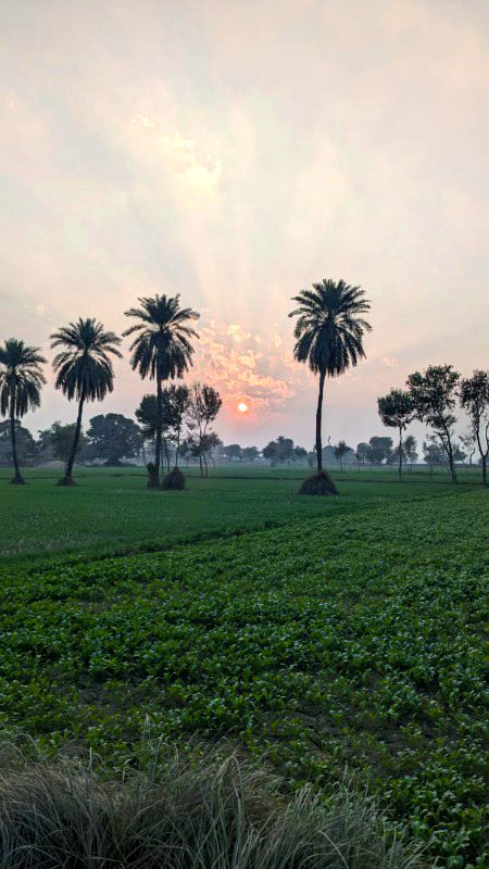 Beautiful Nature image