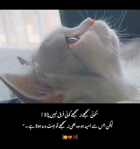 Sad Poetry image