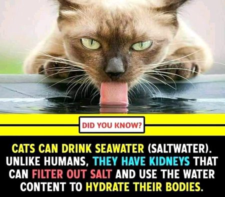 Interesting Posts image