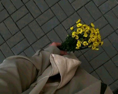 Beautiful Nature image