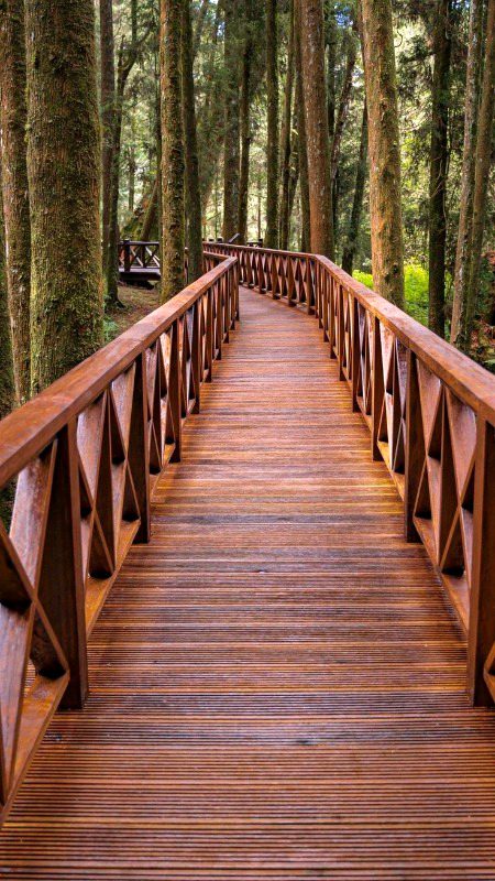 Beautiful Structures image