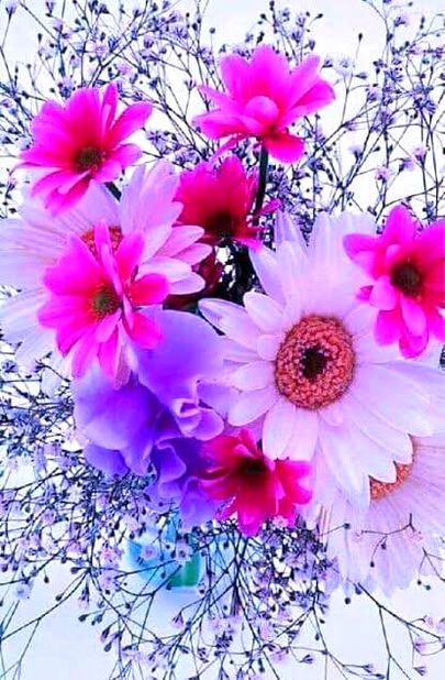 Beautiful Nature image