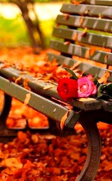 Beautiful Nature image