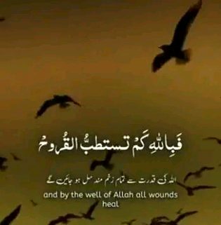 Islamic Quotes image