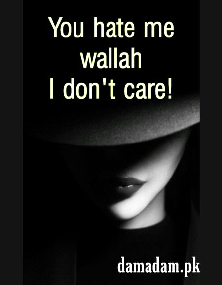 Attitude Quotes image
