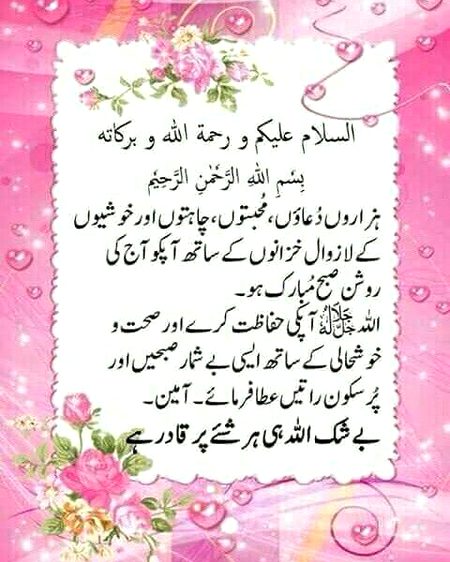 All friends and fan